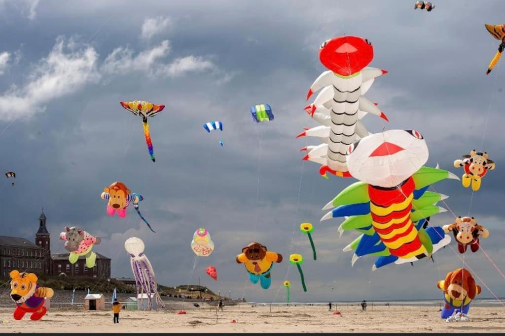 Berck Pavillon D'Eoleヴィラ エクステリア 写真